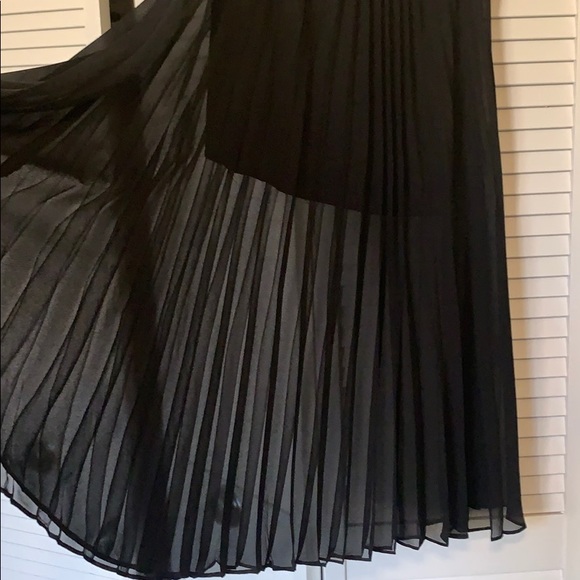 Lush Chiffon Skirts (2) - Picture 7 of 7